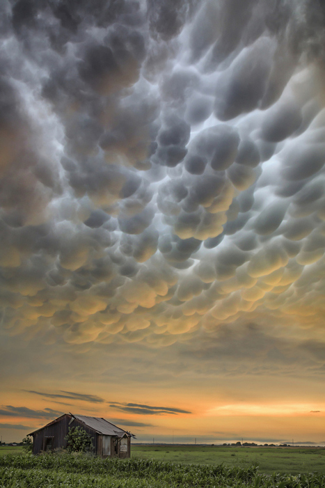 Best of 2015: Top 50 Photographs from Around the World | Everything Photographic | Scoop.it