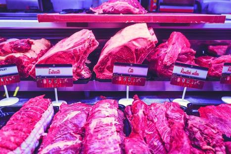 Les filières ovine et bovine françaises ont bien résisté | Actualité Bétail | Scoop.it