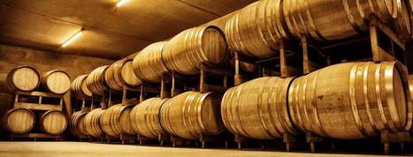 Domaine Collet - Champagne - Côte de Sézanne | oenologie | Scoop.it