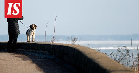 Parikkalassa rikottiin lauantaina kev&auml;&auml;n l&auml;mp&ouml;enn&auml;tys | 1Uutiset - Lukemisen t&auml;hden | Scoop.it