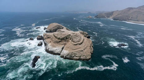 Repsol Per&uacute;: &ldquo;Las condiciones est&aacute;n dadas para la reactivaci&oacute;n de la pesca y la reapertura de playas&rdquo; | RPP Noticias / le 03.01.203 | Pollution accidentelle des eaux (+ d&eacute;chets plastiques) | Scoop.it