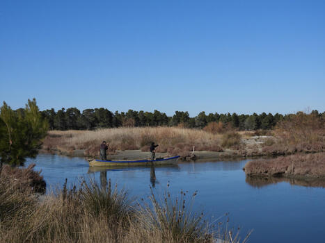 Quand la nature devient solution : relever les d&eacute;fis soci&eacute;taux en M&eacute;diterran&eacute;e - Tour du Valat | Biodiversit&eacute; | Scoop.it
