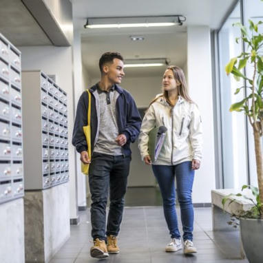 Insersup : un outil qui masque la r&eacute;alit&eacute; de l&rsquo;insertion professionnelle | Enseignement secondaire et sup&eacute;rieur | Scoop.it