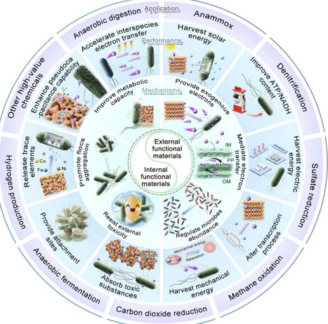 Challenges and Opportunities of Using Functional Materials To Inspire Anaerobic Biotechnology | acs | RMH | Scoop.it