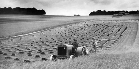 Les paysans survivront ! 1.000 ans de paysannerie en France. | Questions de développement ... | Scoop.it