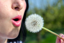 I rimedi naturali contro le allergie di primavera | Rimedi Naturali | Scoop.it