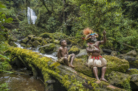 Sur Arte, cinq « Gardiens de la forêt » montrent le chemin pour préserver les poumons de la planète | Ecosystèmes Tropicaux | Scoop.it
