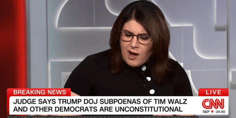 Judge's scathing rebuke of Trump admin startles CNN: 'Quite a shock to see it on paper' - Raw Story | Operation Phobos | Scoop.it