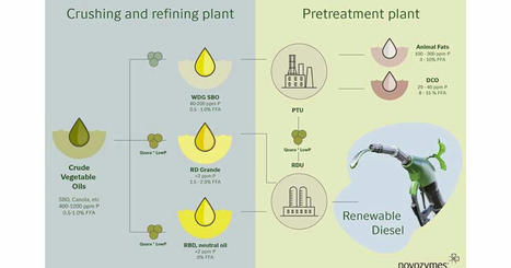 Novozymes launches enzymatic solution for renewable diesel feedstock pre-treatment | Procédés | Scoop.it