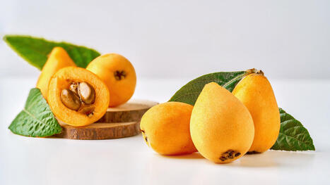 Japaninmispeli eli nispero on uskomattoman herkullinen hedelm&auml; | 1Uutiset - Lukemisen t&auml;hden | Scoop.it