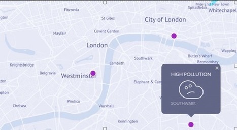 A Londres, des pigeons mesurent la pollution de l'air | Dynamiques Territoriales, Aménagement et Villes Connectées | Scoop.it