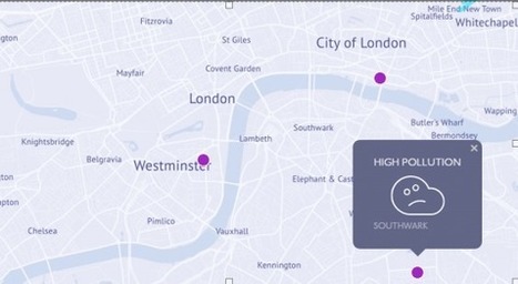 A Londres, des pigeons mesurent la pollution de l'air | Dynamiques Territoriales, Am&eacute;nagement et Villes Connect&eacute;es | Scoop.it