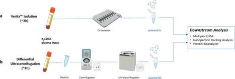 Early-stage multi-cancer detection using an extracellular vesicle protein-based blood test | In-Vitro Diagnostic | Scoop.it
