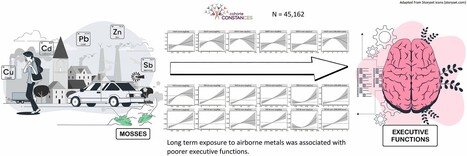 Associations positives entre exposition rurale aux m&eacute;taux atmosph&eacute;riques et fonctions cognitives dans la cohorte Constances | Life Sciences Universit&eacute; Paris-Saclay | Scoop.it