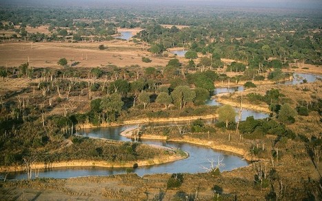African farming is the new frontier for brave investors | Climate Change & DRR in East Africa | Scoop.it