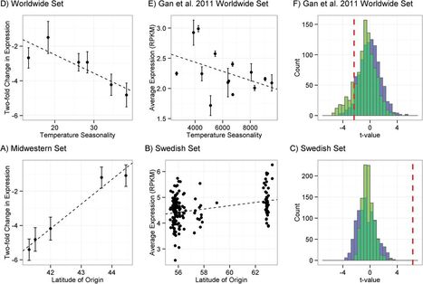 Journal of Experimental Botany:&nbsp;Modulation of R-gene expression across environments (2016) | Plant Pathogenomics | Scoop.it