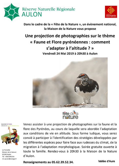 Aulon : Faune et Flore pyrénéennes : comment s’adapter à l’altitude ? | Vallées d'Aure & Louron - Pyrénées | Scoop.it