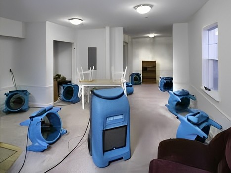 Professional Water Damage Carpet Cleaning in Melbourne | Capitalrestoration Cleaning | Scoop.it