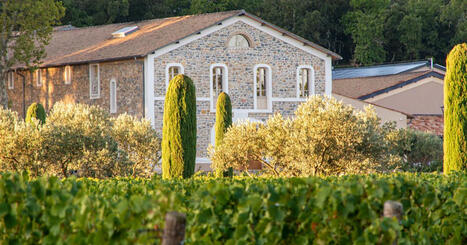 Au château de l’Escarelle, vigne bio et biodiversité cohabitent grâce à des espèces rares de papillons | Les Colocs du jardin | Scoop.it
