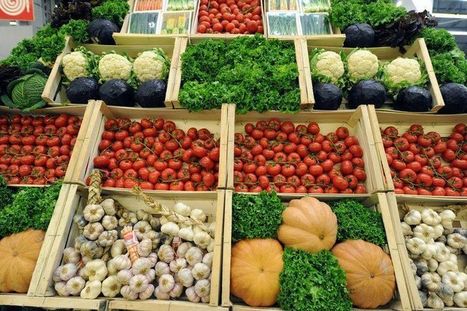 Crises de confiance alimentaires: la revanche des «Petits producteurs» | Economie Responsable et Consommation Collaborative | Scoop.it