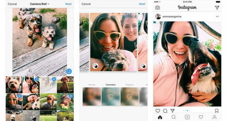 Instagram photo albums now support landscape and portrait pictures | Gadget Reviews | Scoop.it