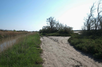 La draille de Peccais, d'Aigues Mortes aux Saintes Maries de la Mer un chemin historique | Camargue Nature | Scoop.it