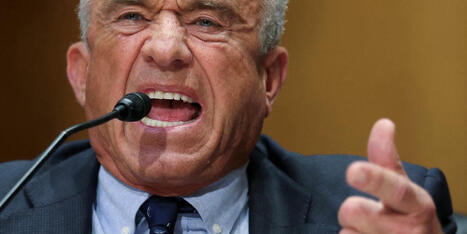 RFK Jr.'s grandson demands his resignation: 'Threat to every American' - Raw Story | Backstabber Watch | Scoop.it