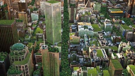 Green roofs for Australian cities would help reduce flooding and save on bills, study shows - ABC News | Stage 5  Changing Places | Scoop.it
