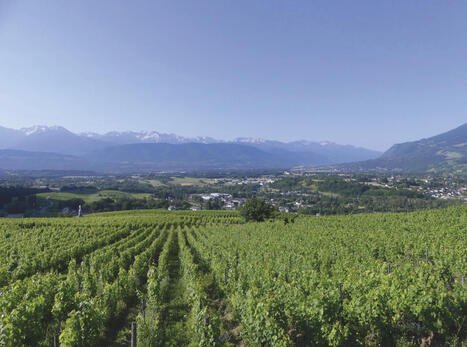 AOC, un patrimoine sous pression fonci&egrave;re | Veille UrbaLyon : Planification urbaine -  Plan local d'urbanisme | Scoop.it