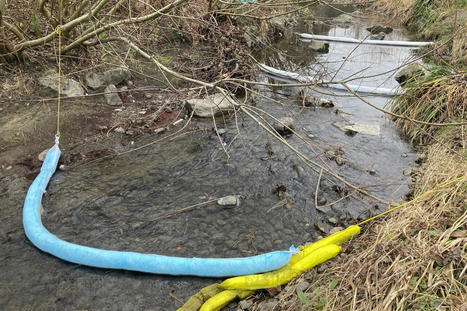 Victoria oil spill creates suffocation concerns for Oak Bay salmon project - OakBayNews.com | Agents of Behemoth | Scoop.it