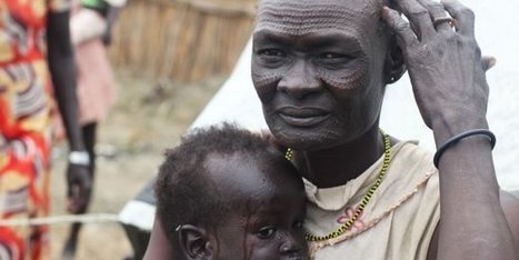 Crise alimentaire en Afrique : la FAO s’inquiète d'une situation sans précédent | AFRIQUES | Scoop.it