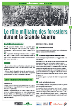 Forêt et Grande Guerre (dossier & fiches pédagogiques) en Pdf gratuit | | Autour du Centenaire 14-18 | Scoop.it