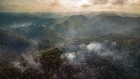 Los Esperemos - We Will Wait | Cayo Scoop!  The Ecology of Cayo Culture | Scoop.it