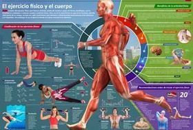 Infografías | Educación Física. Compartiendo en la Red | Scoop.it