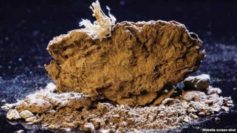 Ancient Oregon Caves May Upend Understanding of Humans in Americas | Archaeology News | Scoop.it