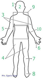 Learn about THE HUMAN BODY #kidscience #stem | CLIL Didactic Units | Scoop.it