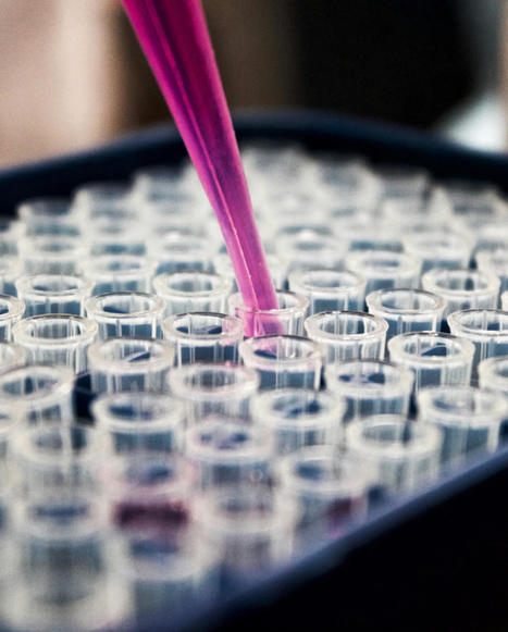 A Guided Look Into Regenerative Cellular Treatment | Part 1 | Call: 915-850-0900 | Functional Medicine "Advancing The Medical Health Model" | Scoop.it