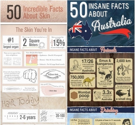 The 8 Types of Infographic | NEO MAMMALIAN Studios | World's Best Infographics | Scoop.it