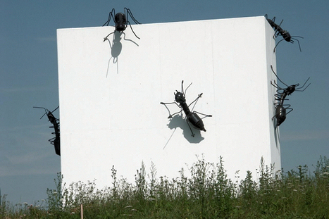 Des ronds-points... originaux ! | Variétés entomologiques | Scoop.it