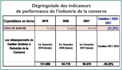 Sardine du Maroc : Entre conserve et farine, menace sur la reine des protéines | HALIEUTIQUE MER ET LITTORAL | Scoop.it