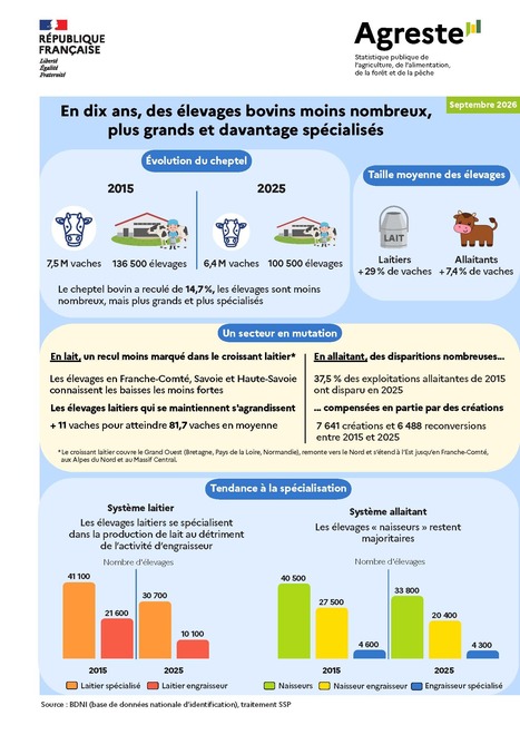 En dix ans, des &eacute;levages bovins moins nombreux, plus grands et davantage sp&eacute;cialis&eacute;s - Agreste | Pour innover en agriculture | Scoop.it