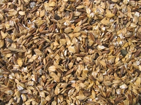 Déchets de l’agroalimentaire : comment les valoriser ? | ITERG Environnement et Eco-industries | Scoop.it