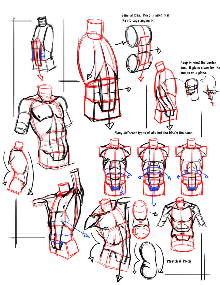 Simple form break down abs Drawing References...