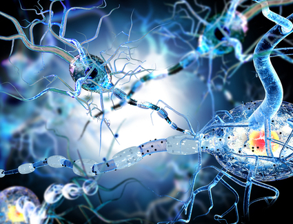 News: CRISPR Plus Drug Treatment Makes Neuroblastoma Responsive to Immunotherapy | Genetic Engineering in the Press by GEG | Scoop.it