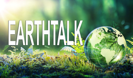 Commentary: EarthTalk by Roddy Scheer and Doug Moss — Pandemic-specific waste on rise | Industry 411 - Waste Management | Scoop.it