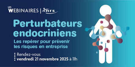 Perturbateurs endocriniens : les repérer pour prévenir les risques en entreprise | INRS | Prévention du risque chimique | Scoop.it