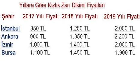 istanbul kizlik zari dikimi