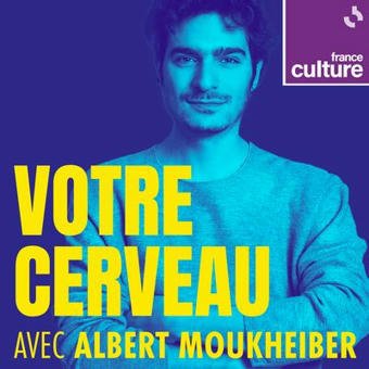 La perception de la réalité, avec Albert Moukheiber : un podcast à écouter en ligne | Co-construire des savoirs | Scoop.it