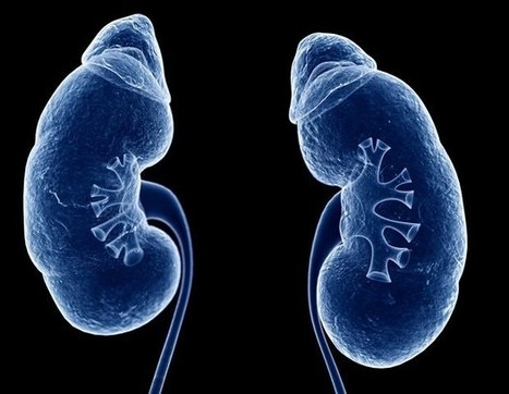 New microfluidic device brings affordable kidney testing to the point of care | In-Vitro Diagnostic | Scoop.it
