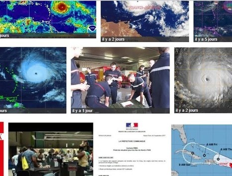 Irma: médias publics, médias privés | 16s3d: Bestioles, opinions & pétitions | Scoop.it